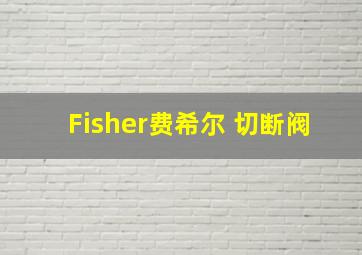 Fisher费希尔 切断阀